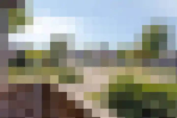 Bredestraat 10 Rosmalen thumbnail 36