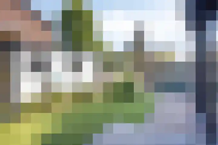 Bredestraat 10 Rosmalen thumbnail 39