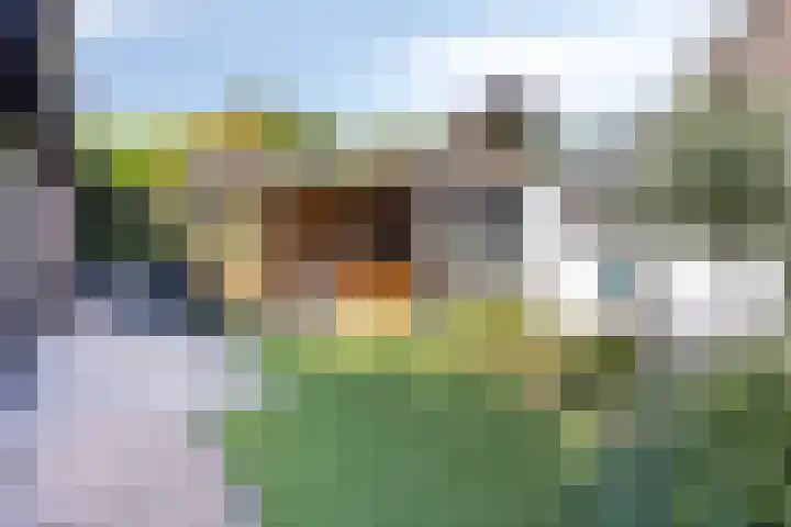Bredestraat 10 Rosmalen thumbnail 40