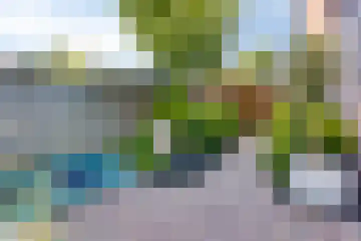 Bredestraat 10 Rosmalen thumbnail 41