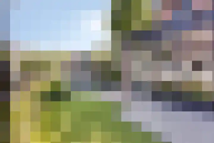 Bredestraat 10 Rosmalen thumbnail 42