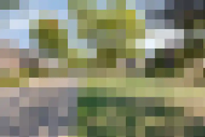 Bredestraat 10 Rosmalen thumbnail 53