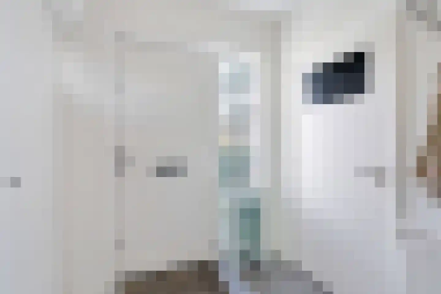 Bredestraat 12 A Rosmalen thumbnail 5
