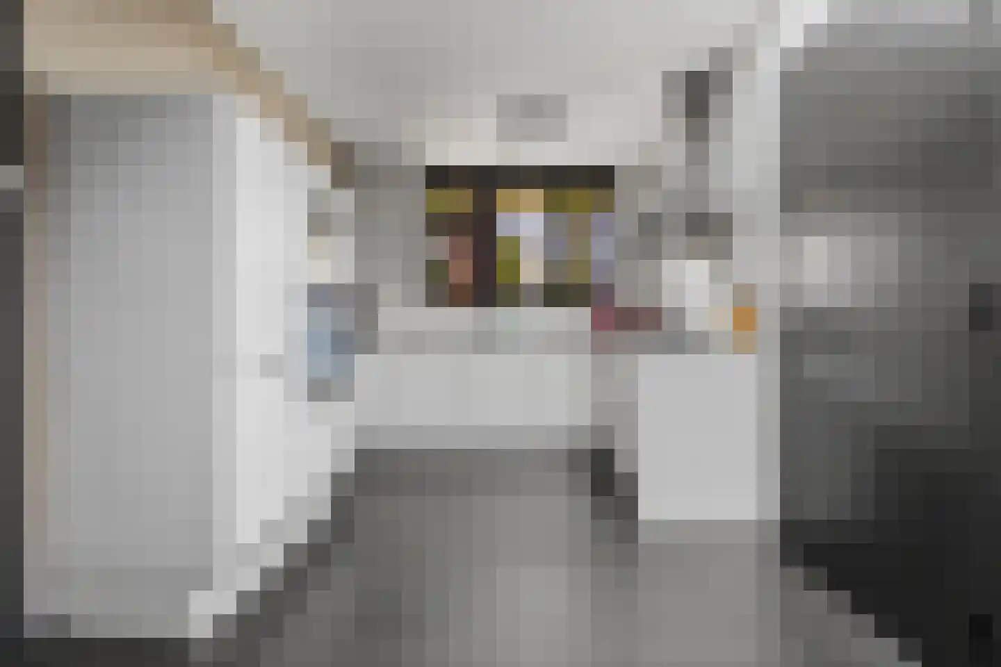 Bredestraat 12 Rosmalen thumbnail 16