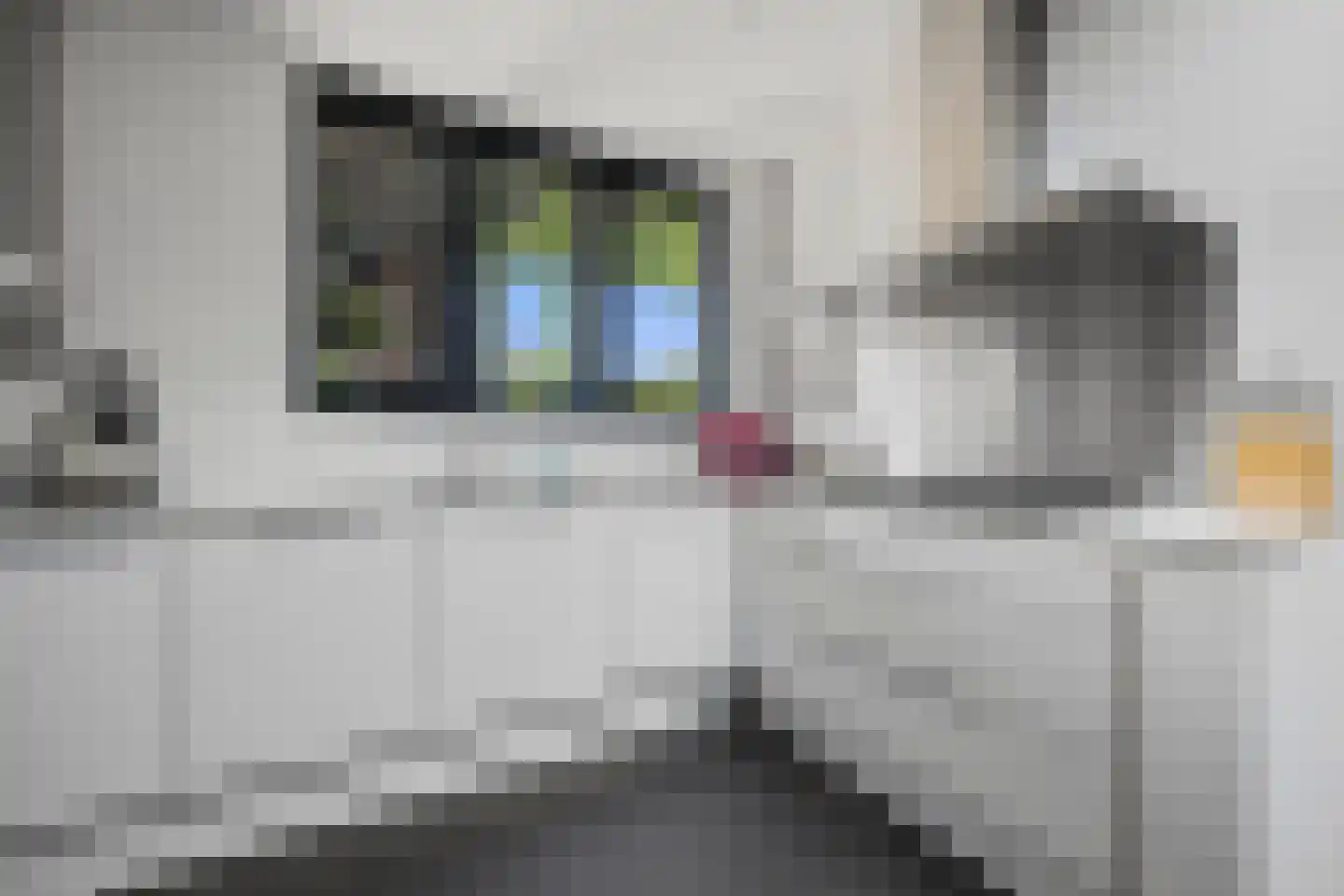 Bredestraat 12 Rosmalen thumbnail 17