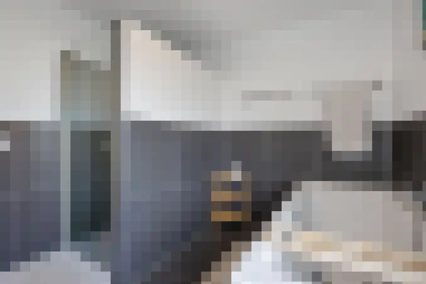 Bredestraat 12 Rosmalen thumbnail 33