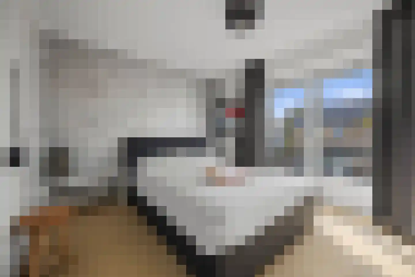 Bredestraat 12 Rosmalen thumbnail 38