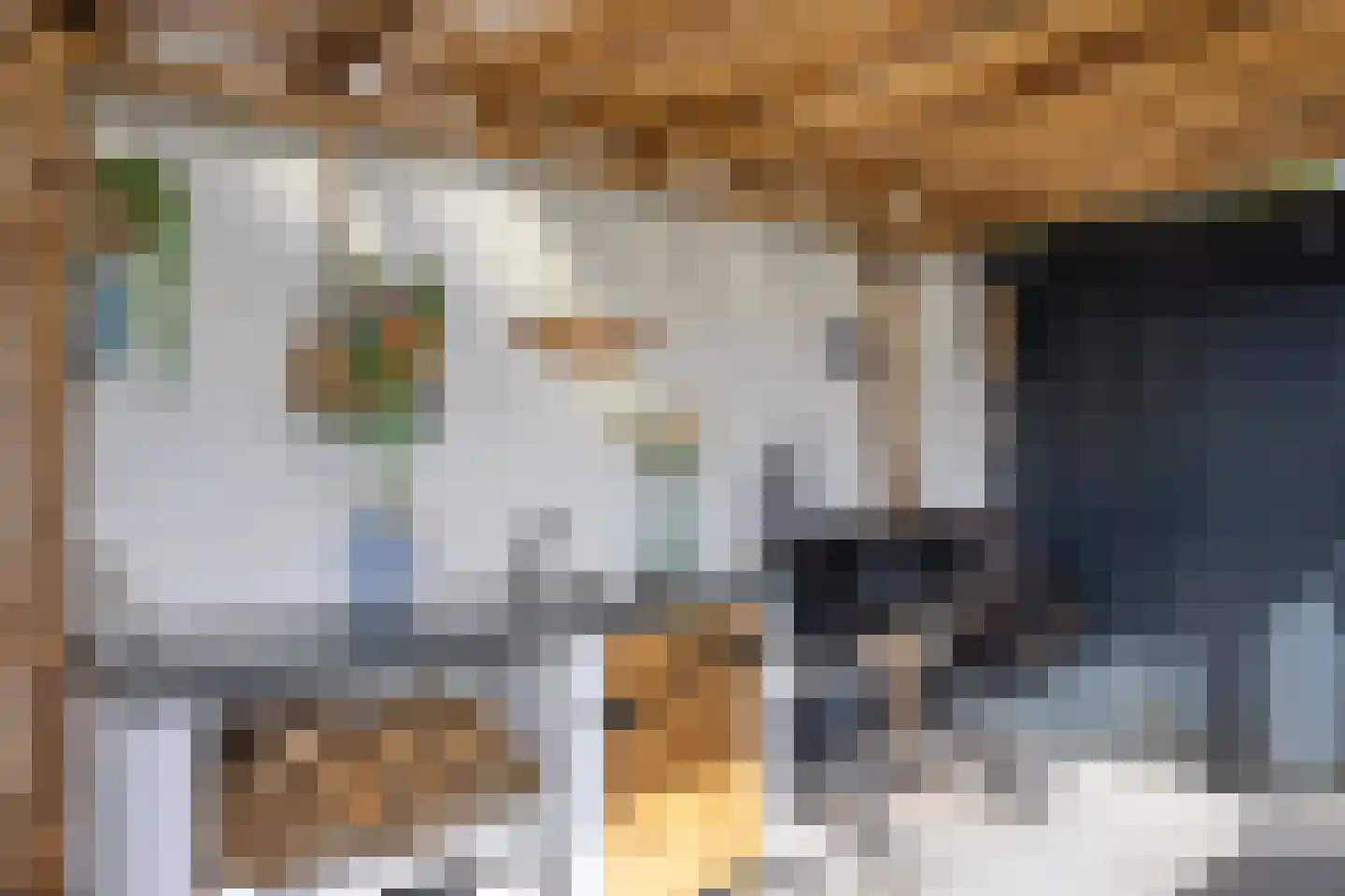 Bredestraat 12 Rosmalen thumbnail 52