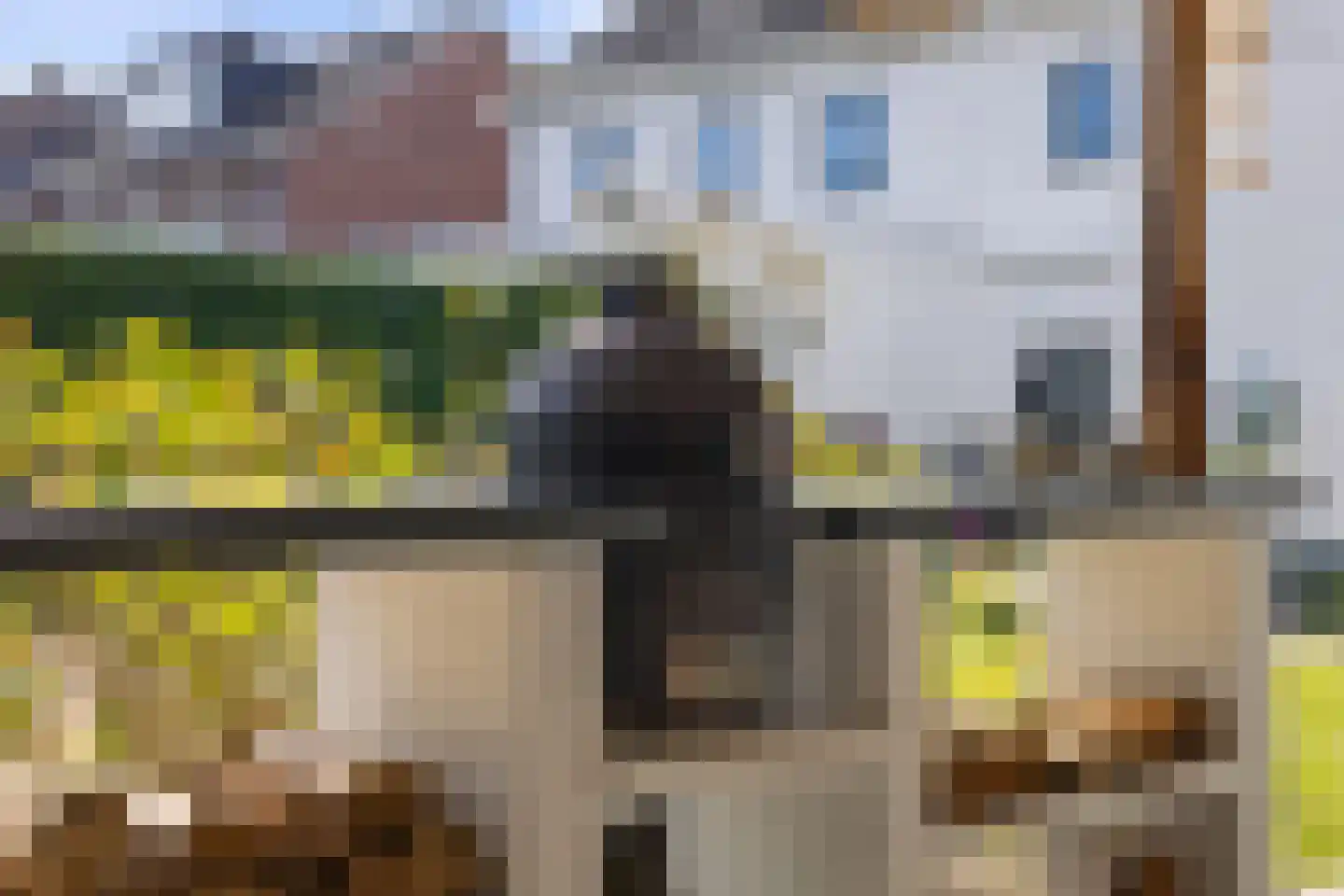 Bredestraat 12 Rosmalen thumbnail 54