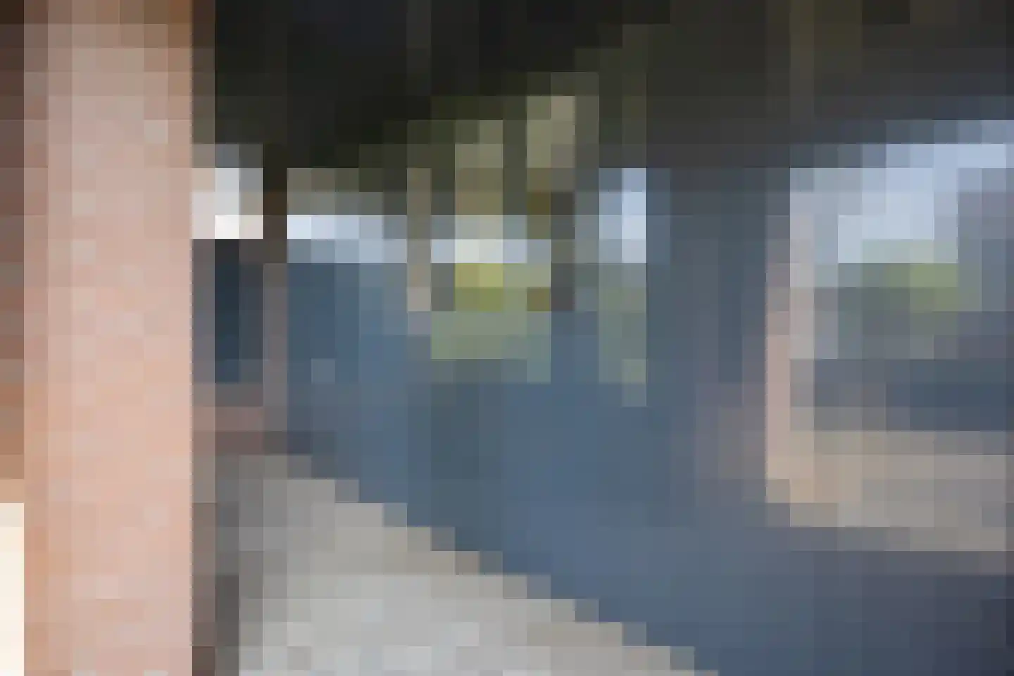 Bredestraat 12 Rosmalen thumbnail 56