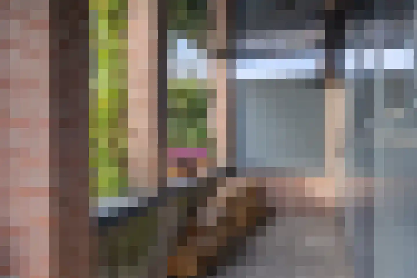 Bredestraat 12 Rosmalen thumbnail 57