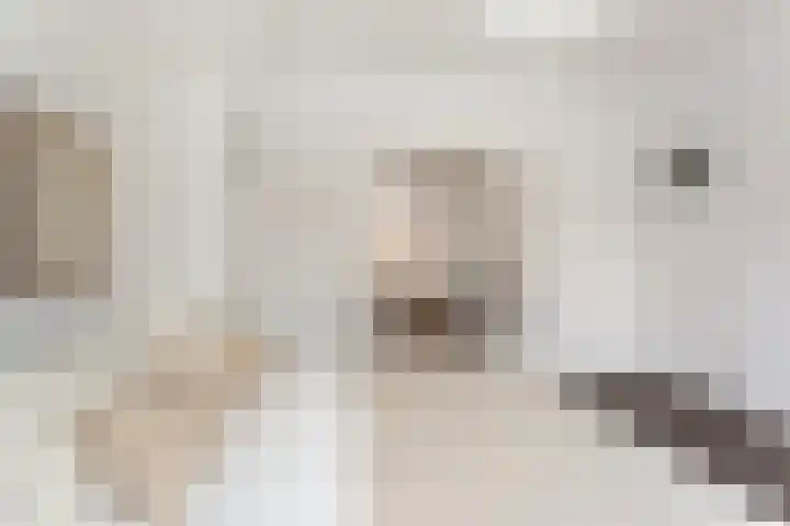 Bredestraat 13 D Rotterdam thumbnail 13
