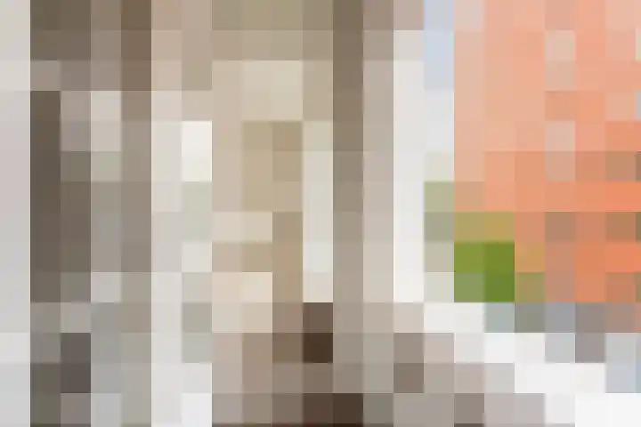 Bredestraat 13 D Rotterdam thumbnail 18