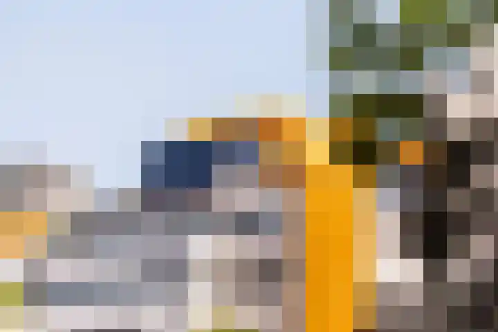 Bredestraat 13 D Rotterdam thumbnail 26