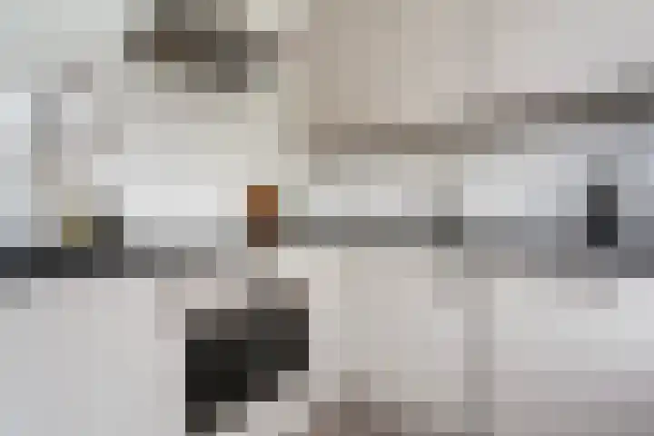 Bredestraat 13 D Rotterdam thumbnail 8