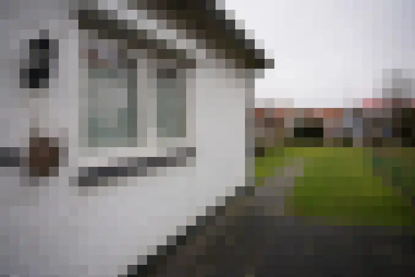 Bredestraat 24 Oostburg thumbnail 27