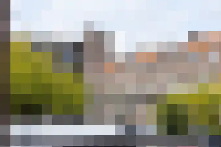 Bredestraat 3 A Rotterdam thumbnail 4