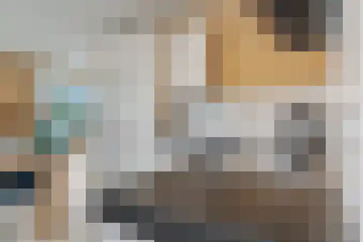 Bredestraat 3 Zennewijnen thumbnail 18
