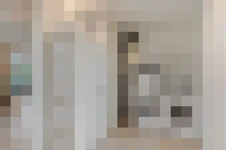Bredestraat 3 Zennewijnen thumbnail 19
