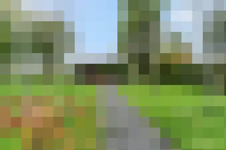 Bredestraat 3 Zennewijnen thumbnail 20