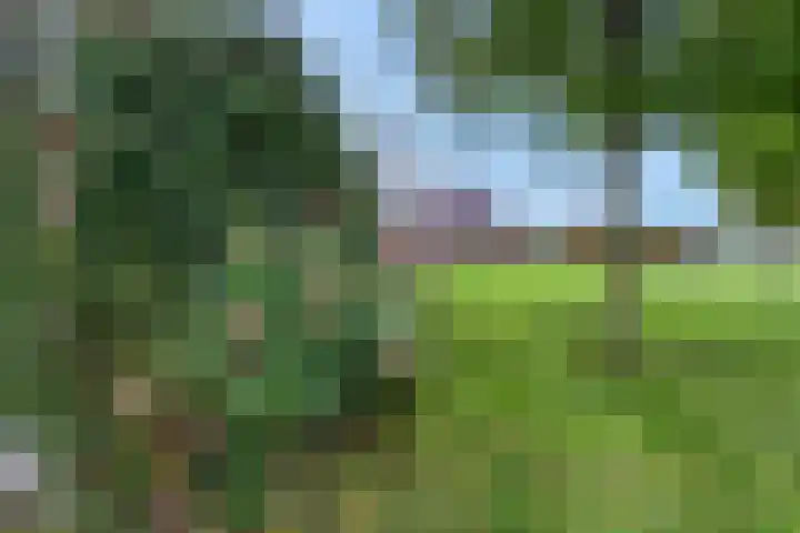 Bredestraat 3 Zennewijnen thumbnail 21