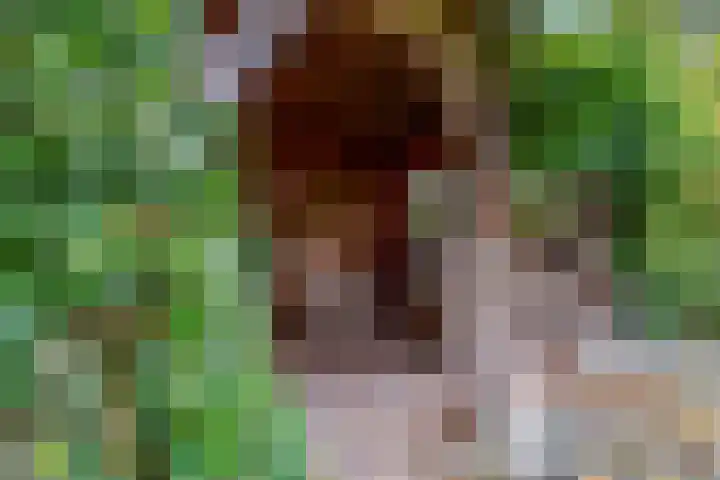 Bredestraat 3 Zennewijnen thumbnail 23