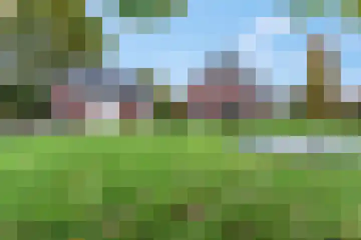 Bredestraat 3 Zennewijnen thumbnail 25