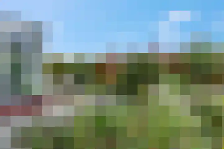 Bredestraat 3 Zennewijnen thumbnail 26