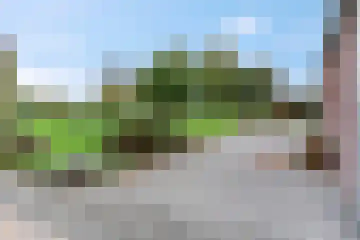 Bredestraat 3 Zennewijnen thumbnail 28