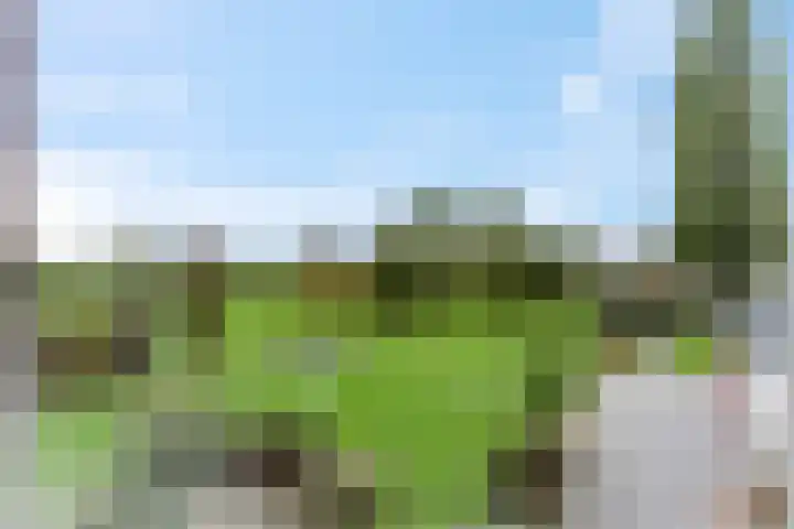 Bredestraat 3 Zennewijnen thumbnail 4