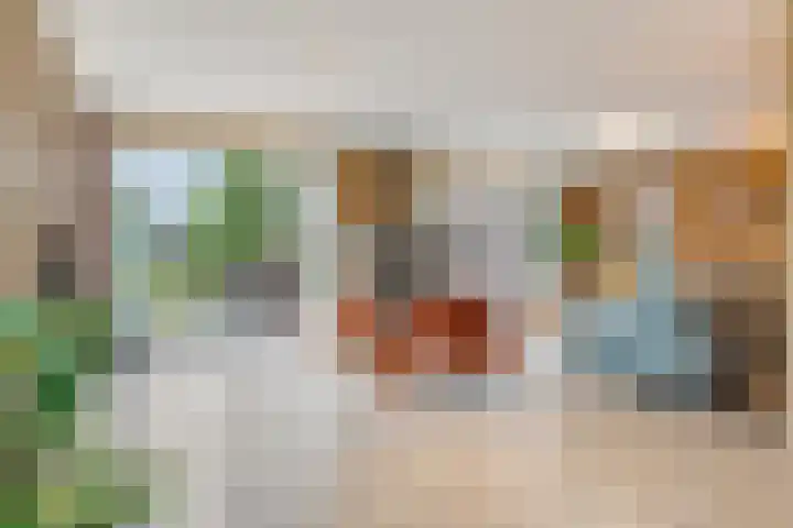 Bredestraat 3 Zennewijnen thumbnail 6
