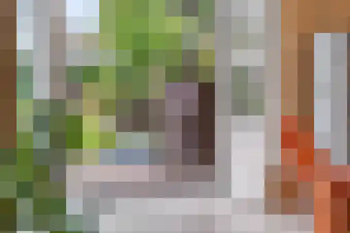 Bredestraat 3 Zennewijnen thumbnail 7