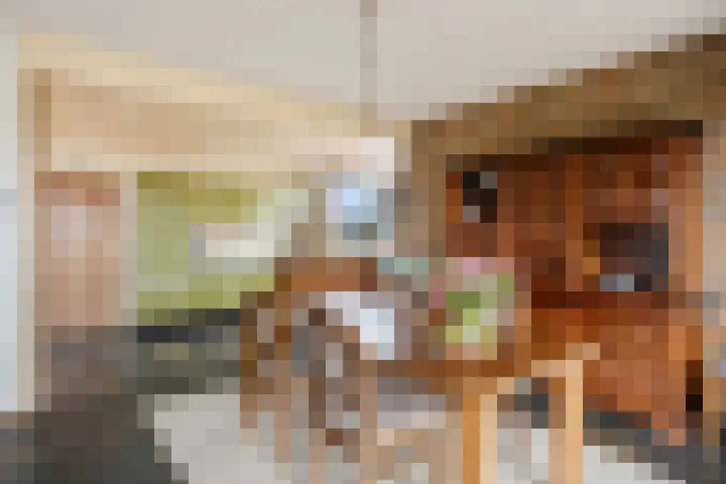 Bredestraat 30 Leuth thumbnail 11