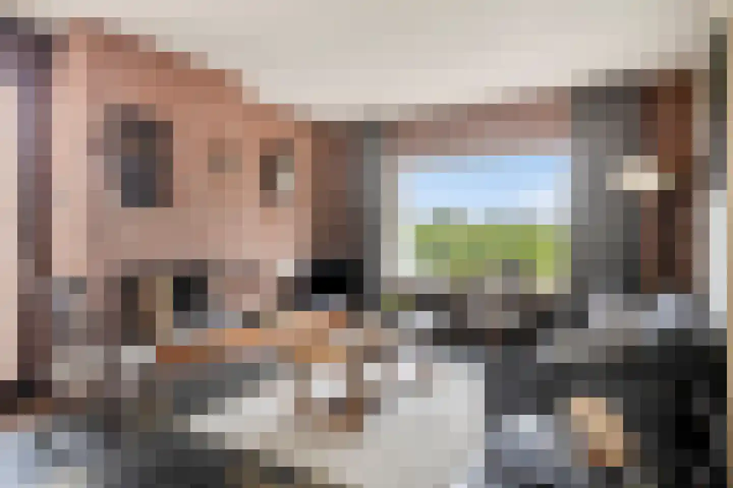 Bredestraat 30 Leuth thumbnail 13