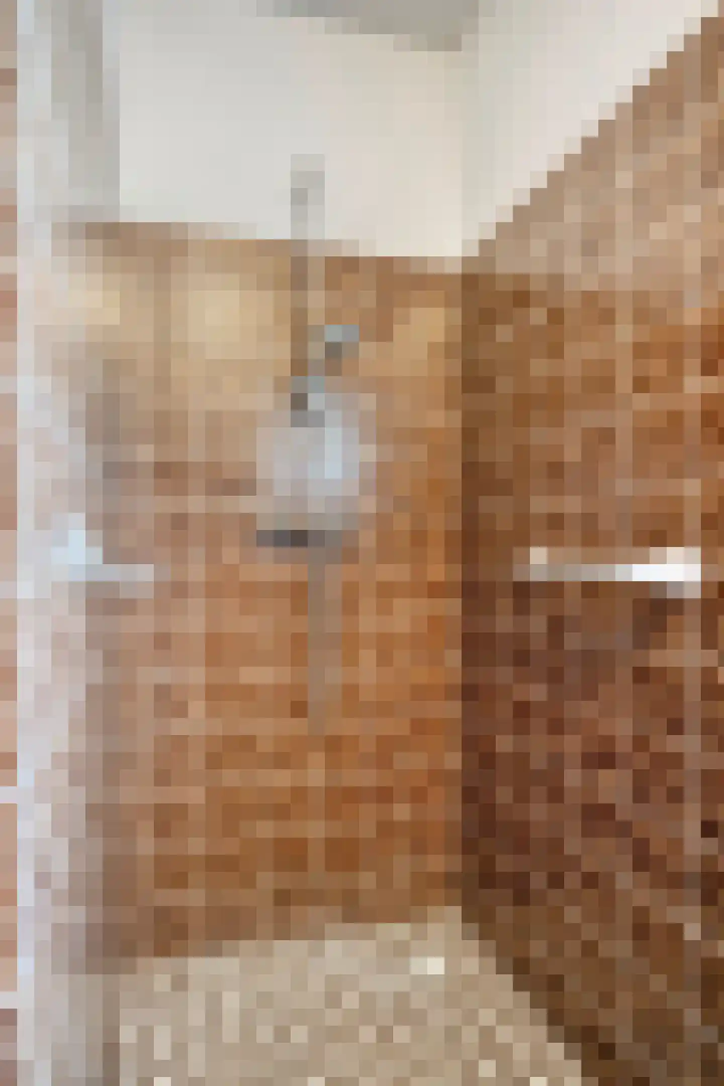 Bredestraat 30 Leuth thumbnail 23