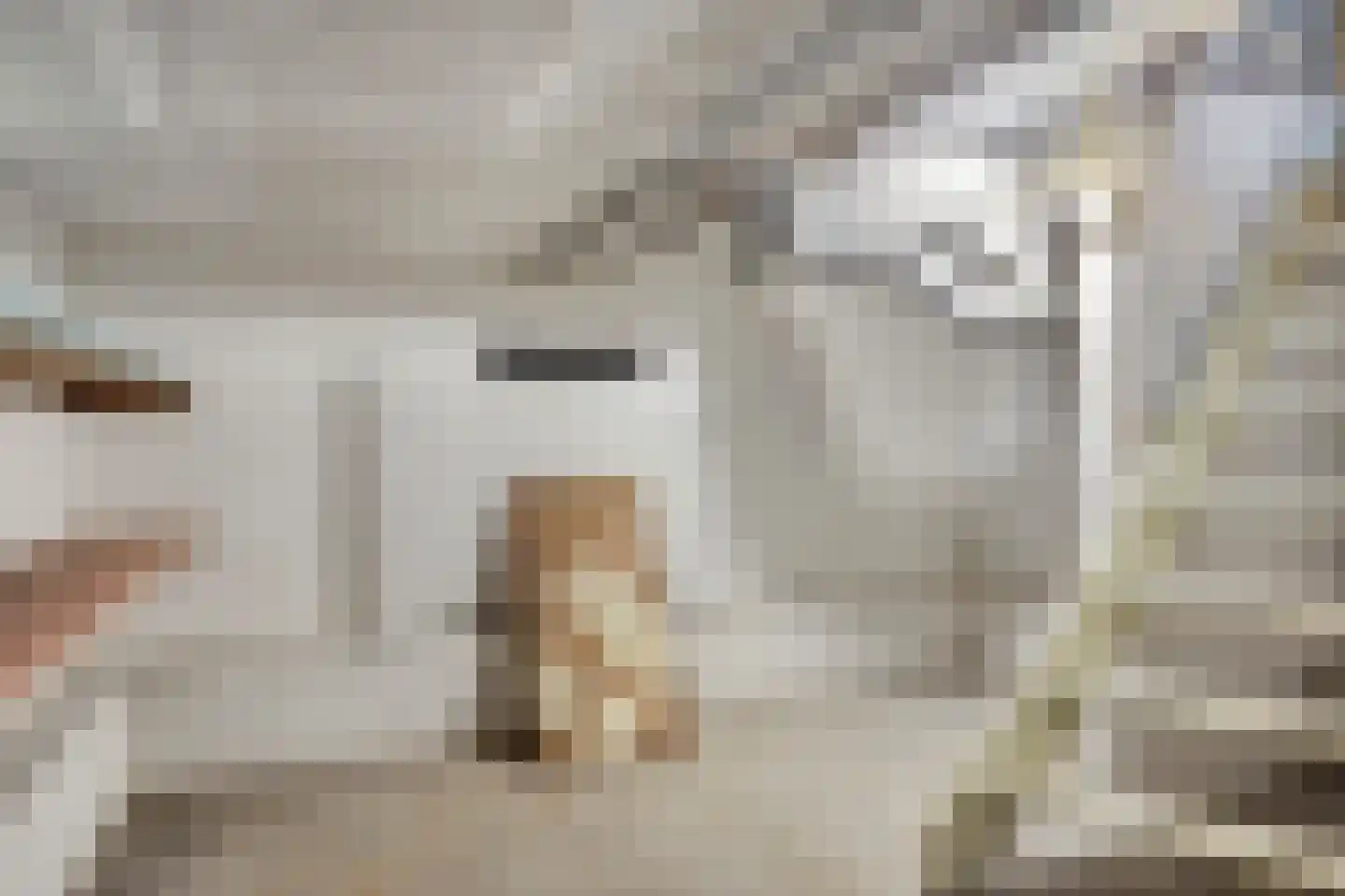 Bredestraat 30 Leuth thumbnail 26