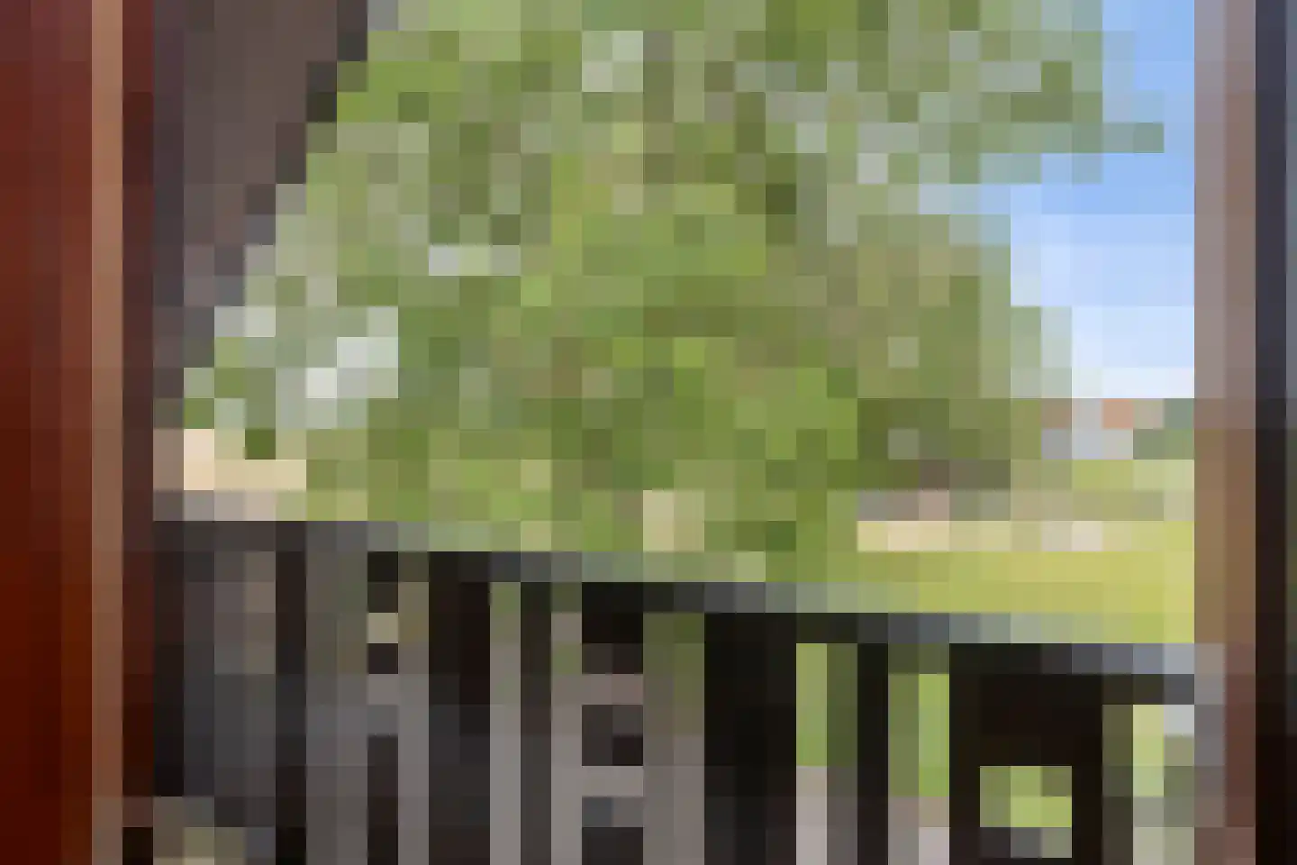 Bredestraat 30 Leuth thumbnail 32