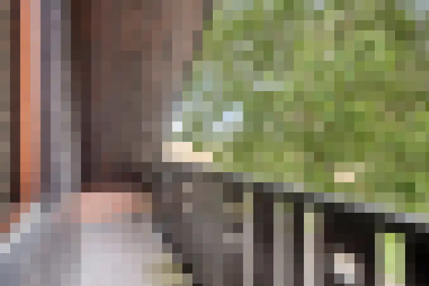 Bredestraat 30 Leuth thumbnail 33