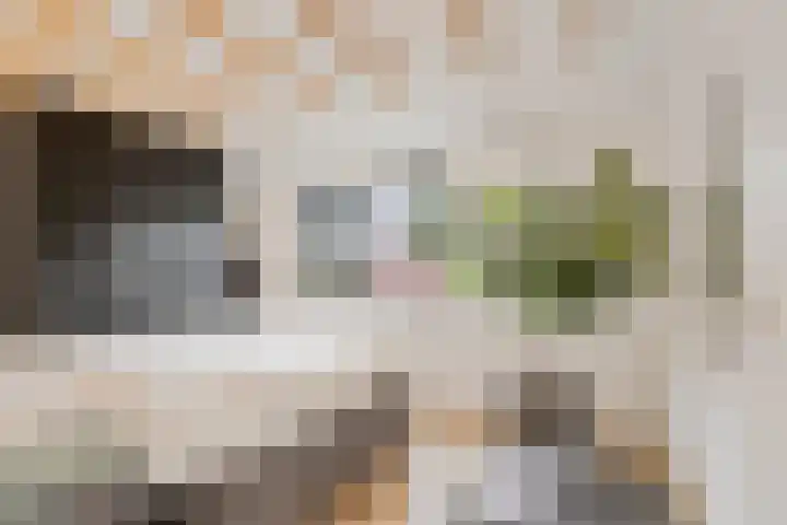 Bredestraat 31 Huissen thumbnail 14