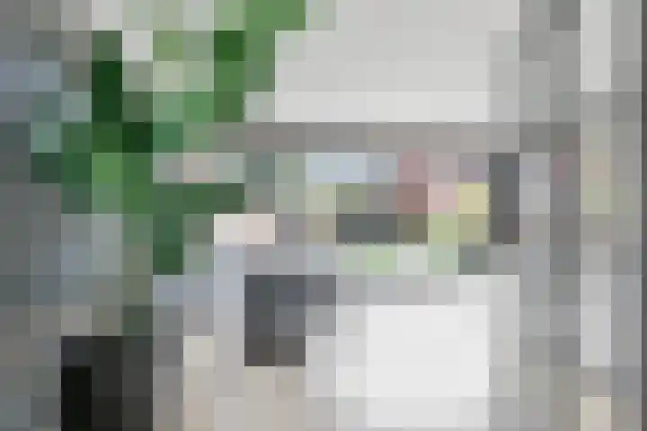 Bredestraat 31 Huissen thumbnail 5
