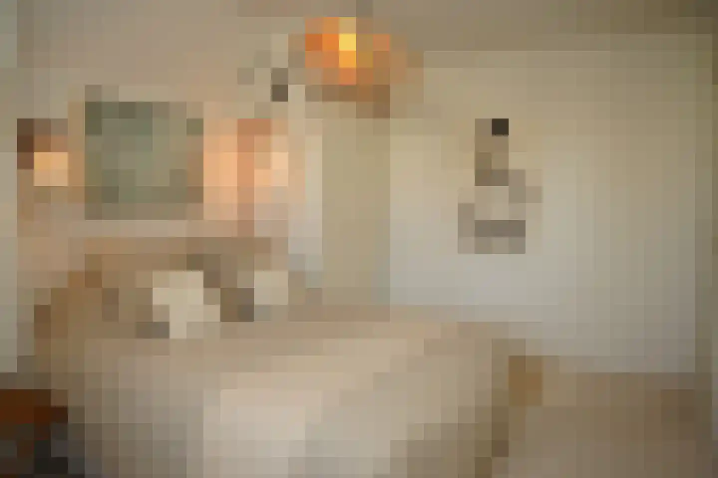 Bredestraat 34 Oostburg thumbnail 19