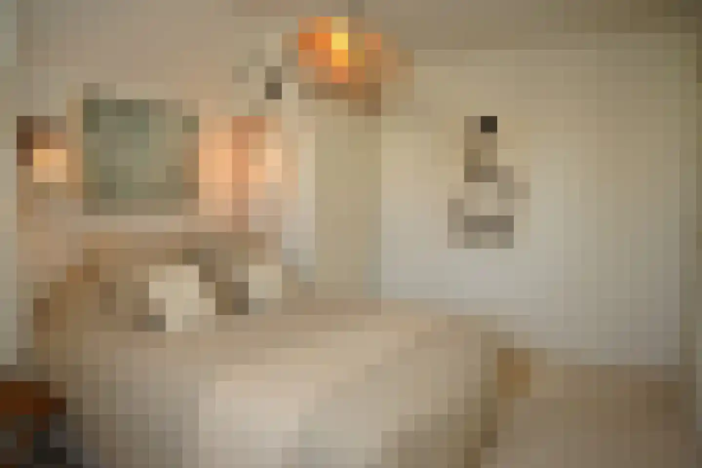 Bredestraat 34 Oostburg thumbnail 22