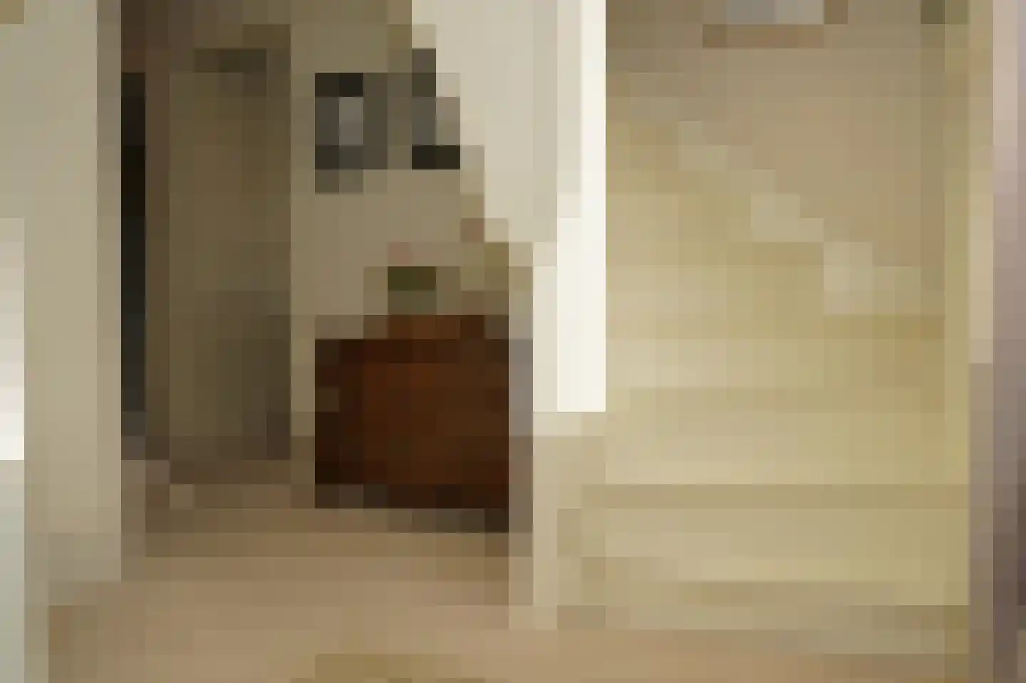 Bredestraat 34 Oostburg thumbnail 28