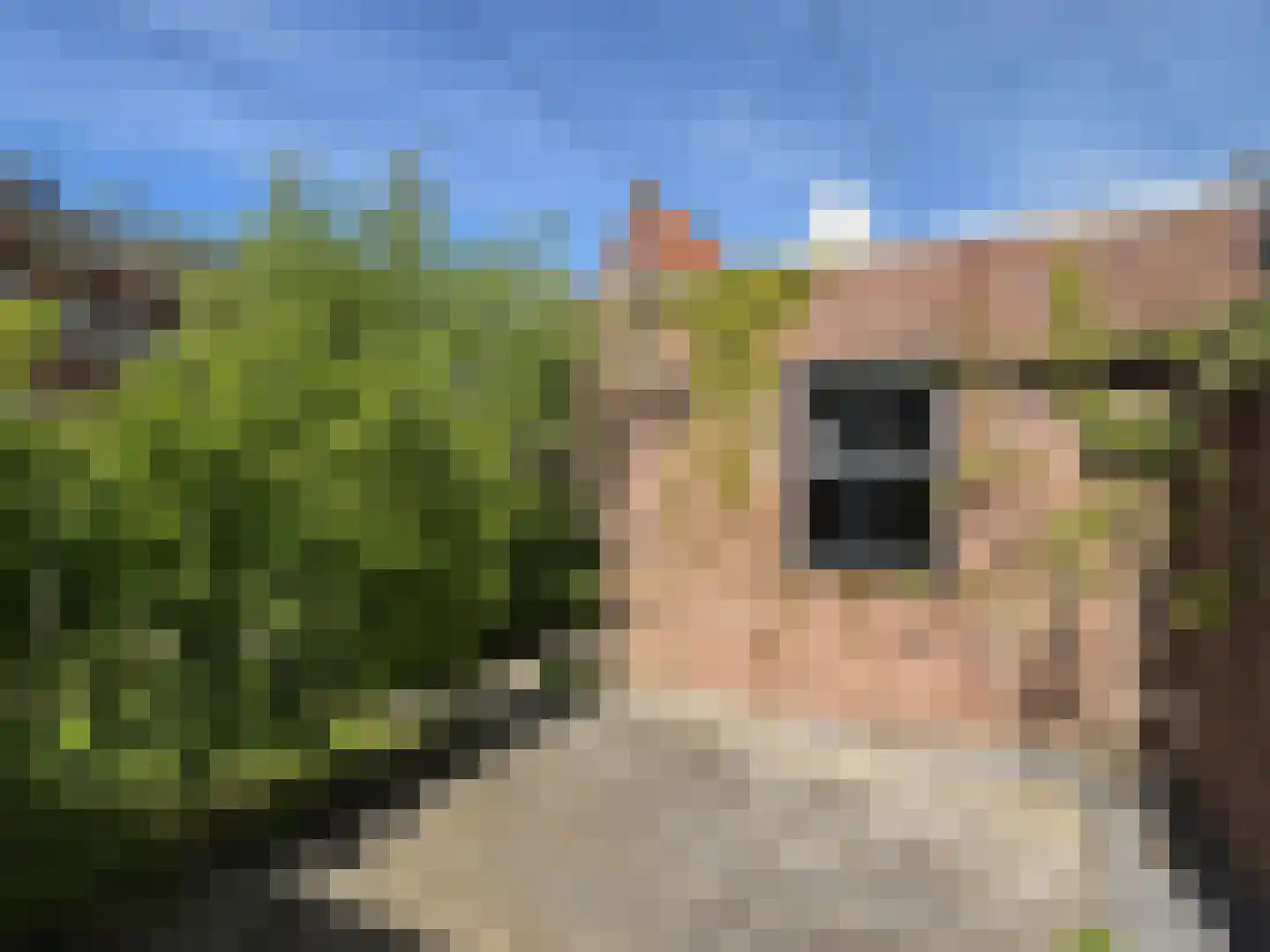 Bredestraat 34 Oostburg thumbnail 41