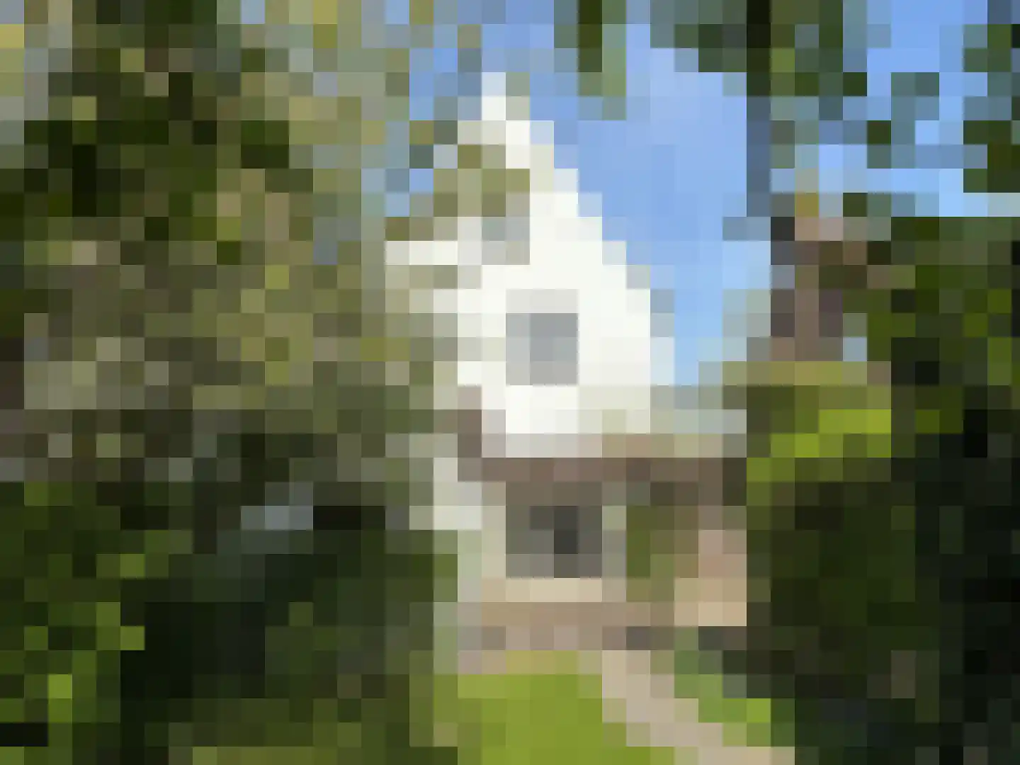 Bredestraat 34 Oostburg thumbnail 42