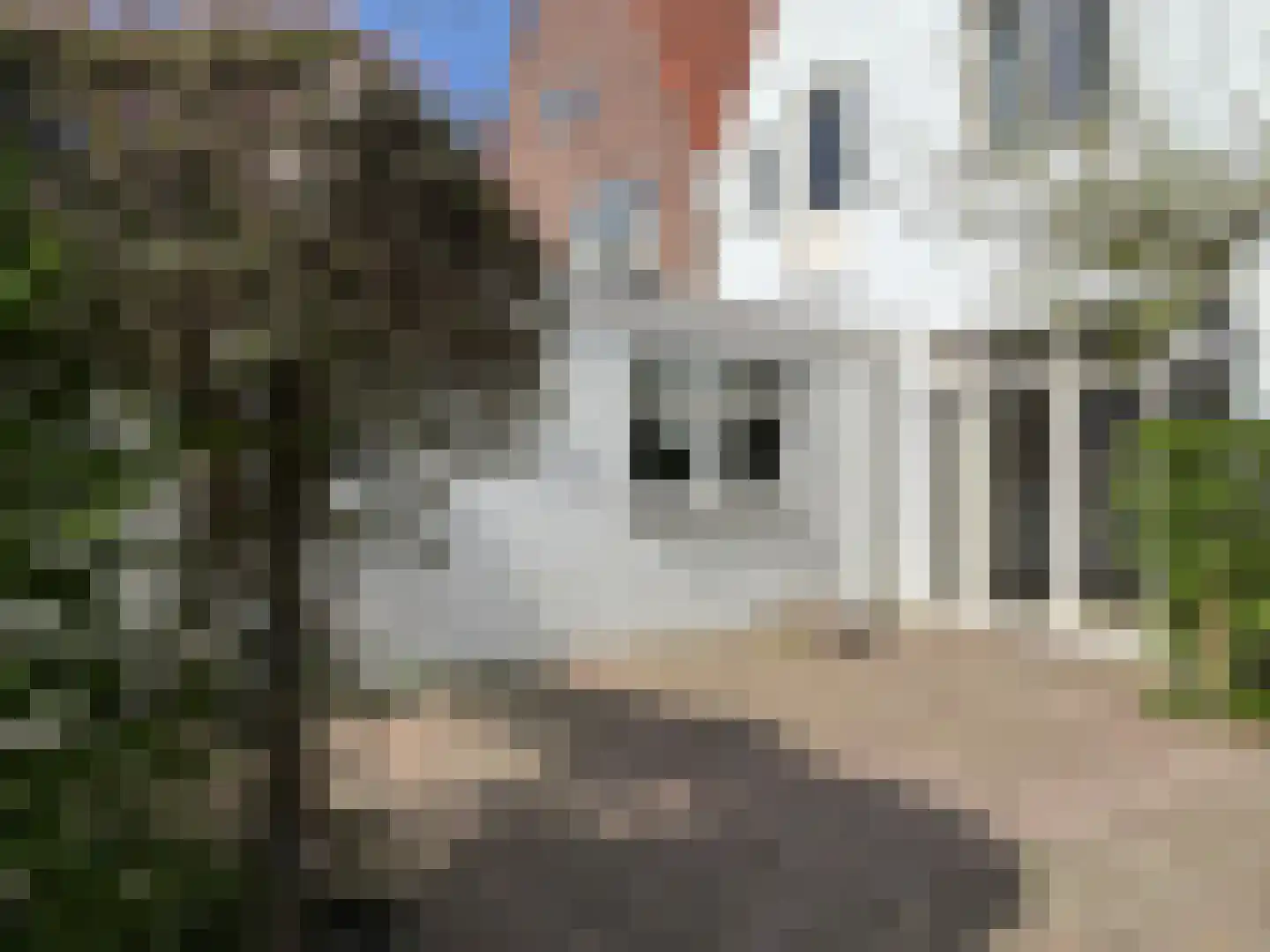 Bredestraat 34 Oostburg thumbnail 46