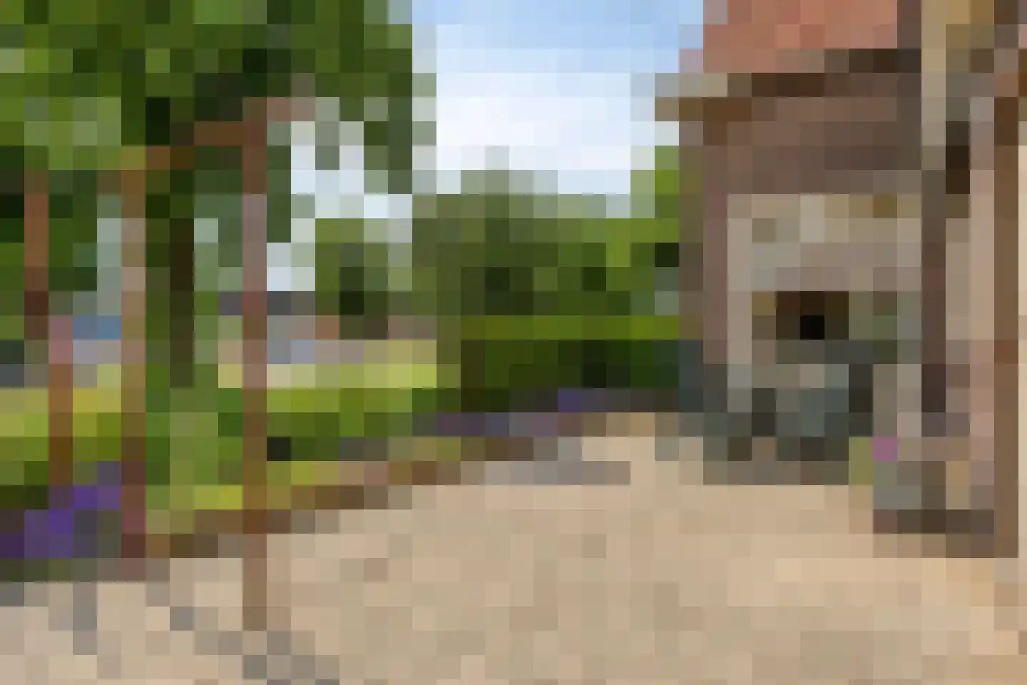 Bredestraat 38 Rosmalen thumbnail 24