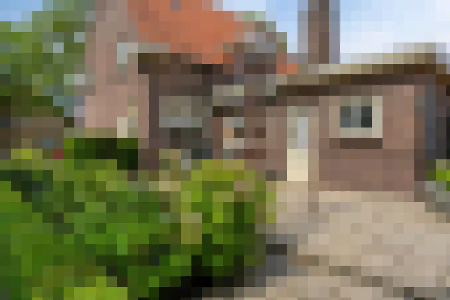 Bredestraat 38 Rosmalen thumbnail 26