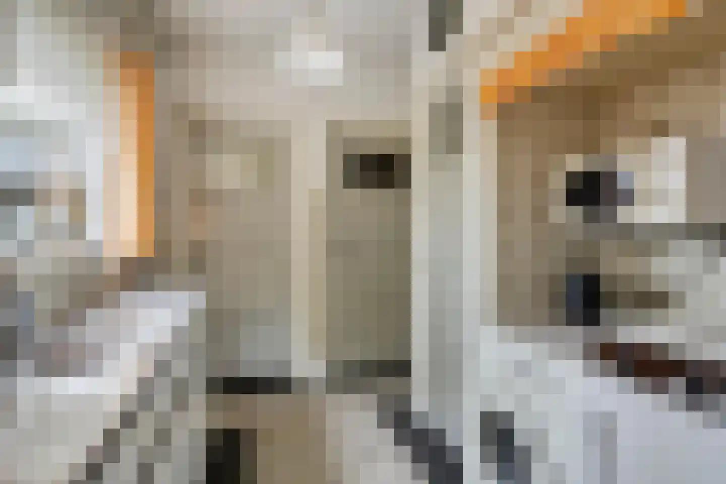 Bredestraat 38 Rosmalen thumbnail 7