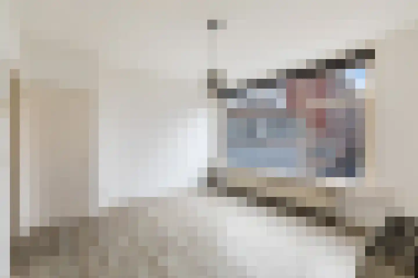 Bredestraat 39 B Rotterdam thumbnail 12